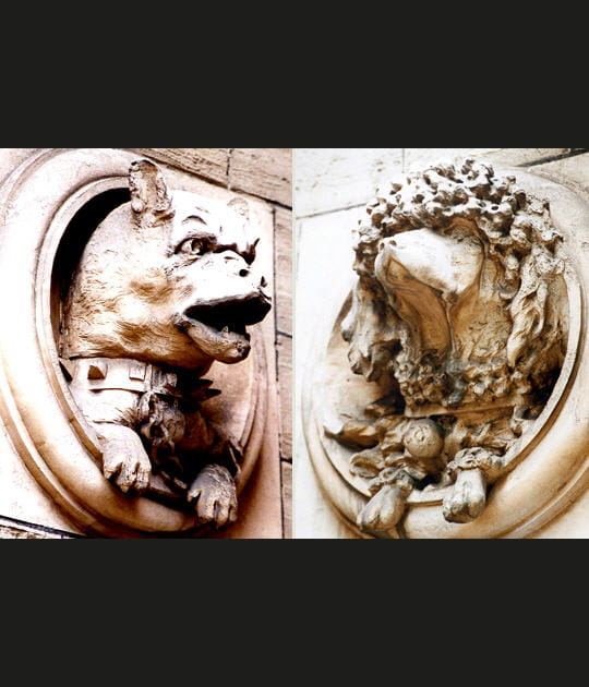Les chiens