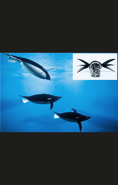 Des pingouins bioniques&nbsp;!