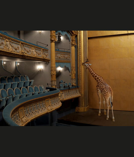 Karen Knorr, Gourmandise