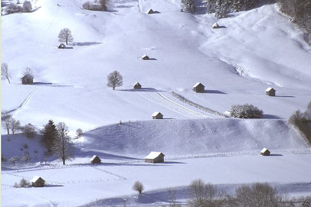 Ensemble de grangettes