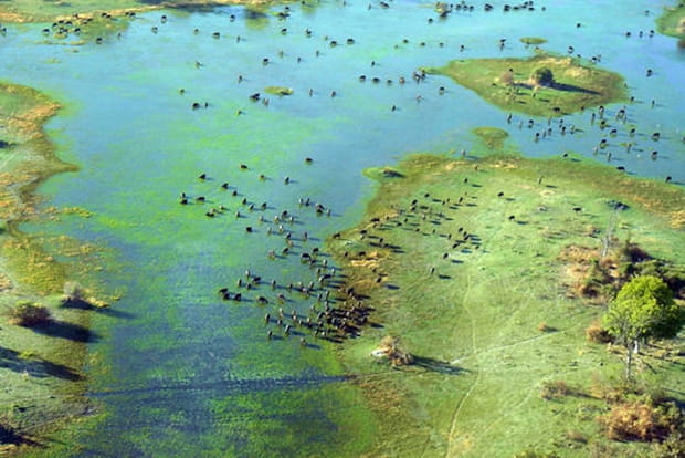 Le Botswana et l'Afrique australe