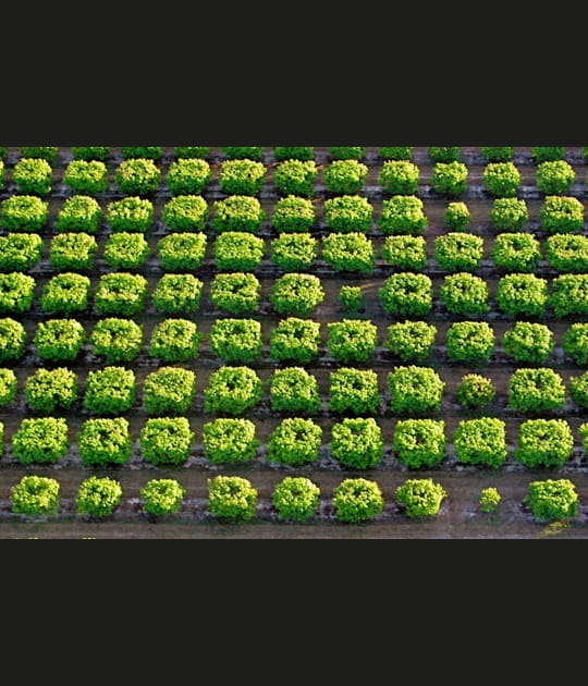 G&eacute;om&eacute;trie