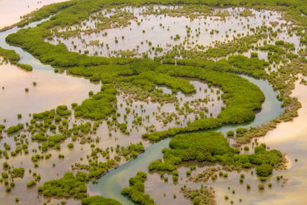 Le delta du Saloum au Sénégal