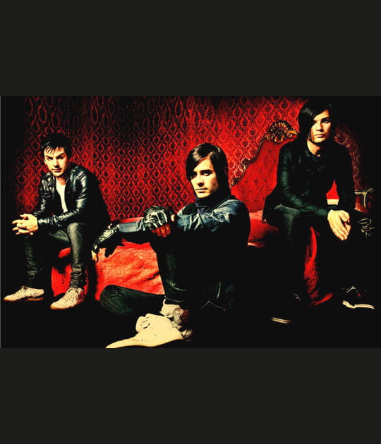 2008&nbsp;: Concert &eacute;v&egrave;nement au Z&eacute;nith