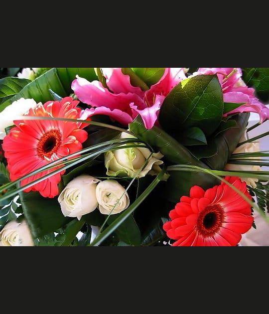 Roses et gerberas