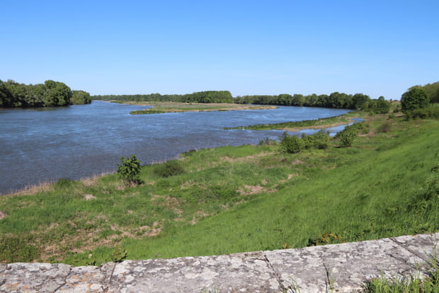 L'Île aux Oiseaux, le trésor ornithologique de la Sologne