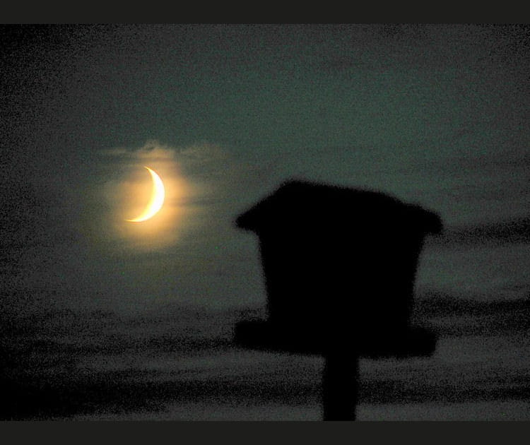 La lune et la mangeoire