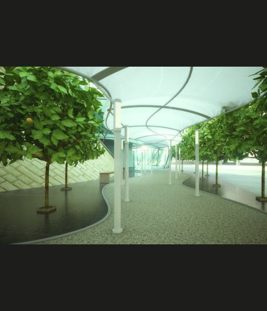 Les arbres vont parler