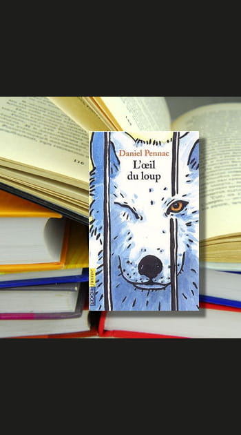 14e&nbsp;: &quot;L'oeil du loup&quot; de Daniel Pennac