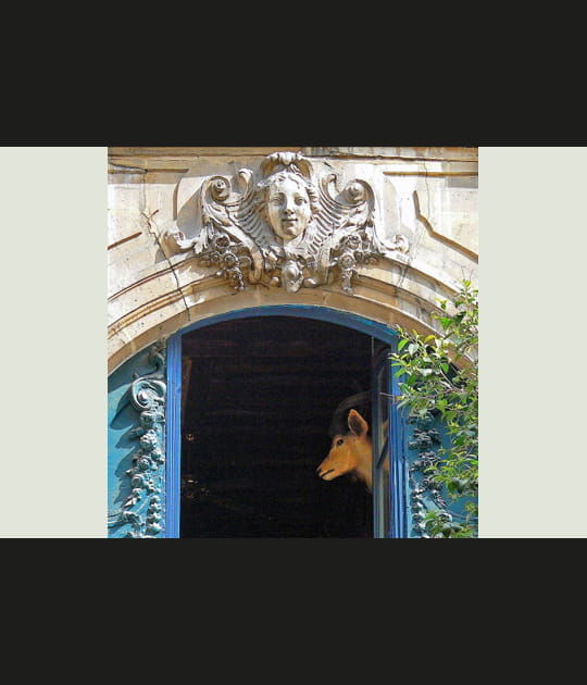 La belle et la b&ecirc;te