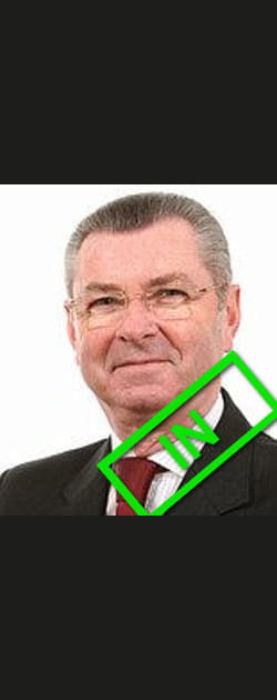 Henri de Raincourt