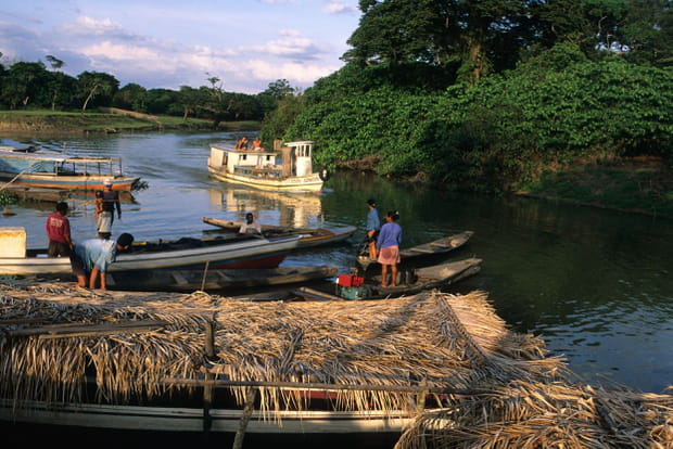 L'île de Marajo
