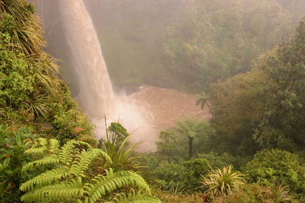 Les chutes de Raglan