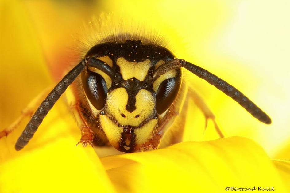 L'image d'octobre 2015
