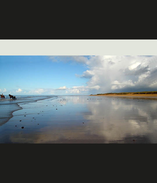 Les &eacute;tendues de sable de Vend&eacute;e