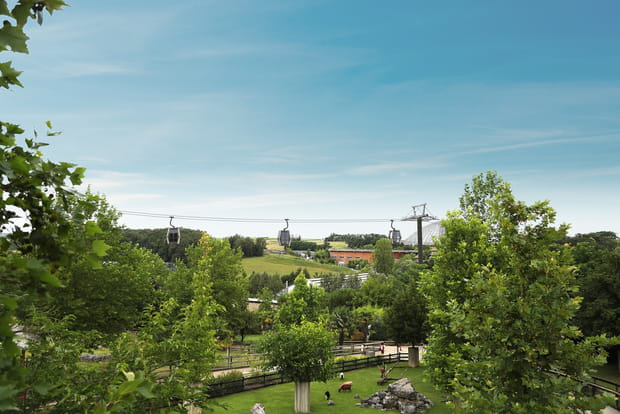 Le Nuage de Beauval, la nouvelle expérience du zoo