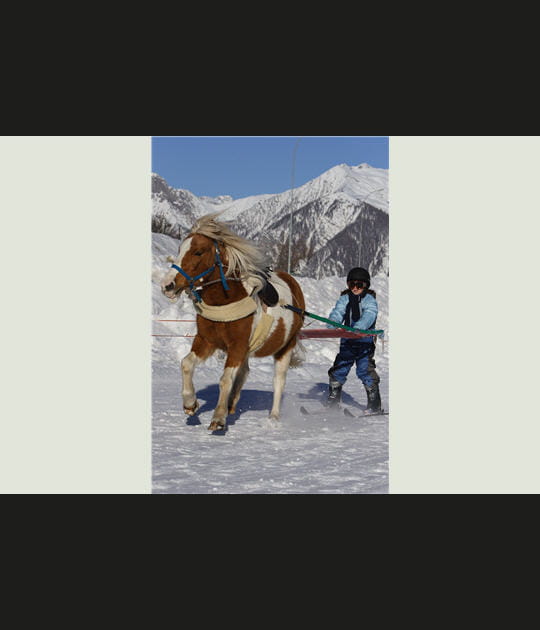 Le ski joering