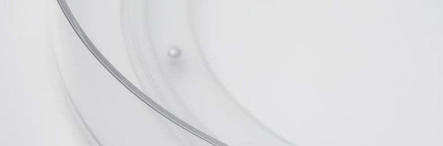 Ce petit organiseur ne co&ucirc;te que quelques euros chez Action, il va r&eacute;volutionner l'organisation de la cuisine et la salle de bain