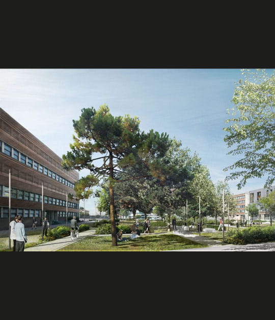 Vers le d&eacute;veloppement durable