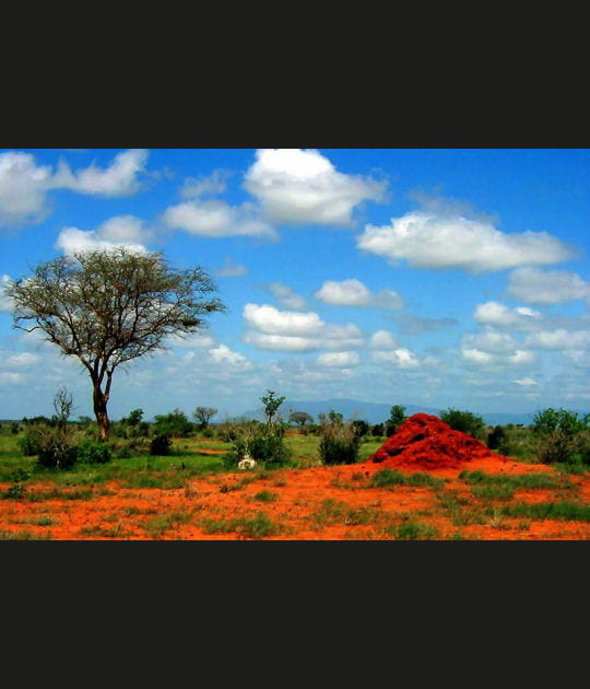 Ciel et paysage