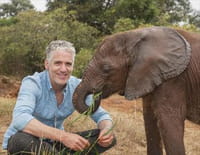 La famille éléphant et moi : Retour en terre africaine