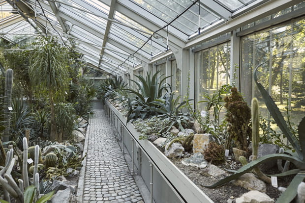 Le jardin botanique de Jevremovac