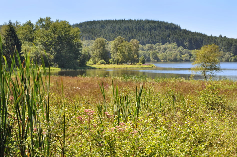 Le Parc R&eacute;gional du Morvan