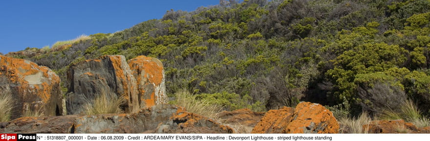 Australie&nbsp;: un message vieux de plus de 100&nbsp;ans d&eacute;couvert dans une bouteille