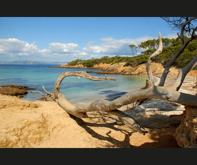 Porquerolles et les &icirc;les d'Hy&egrave;res