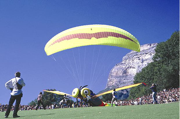 Libellule géante prête à s'envoler