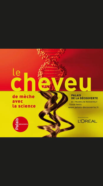 Le cheveu sous toutes les coutures