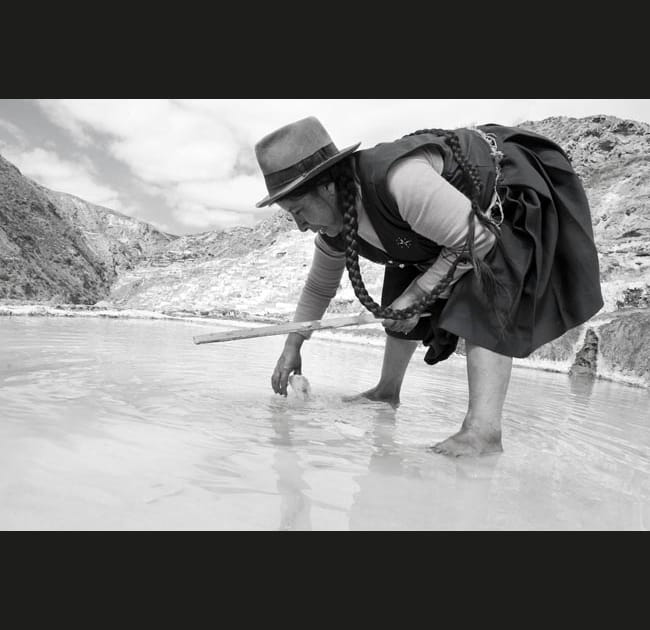 Jours ensoleill&eacute;s