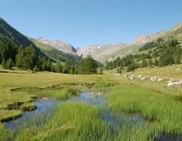 Au coeur des parcs nationaux : Parc national de Mercantour (France)