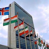 siege onu new york