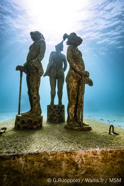 Hydropithèques ou Singes des Mers