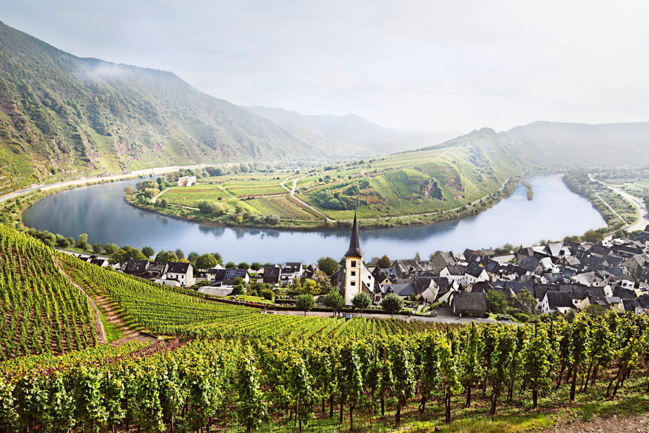Les vignes de la Moselle