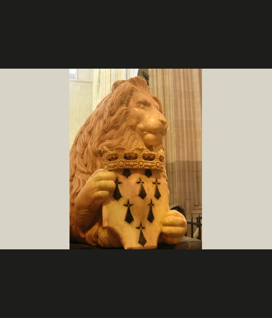 La force du lion