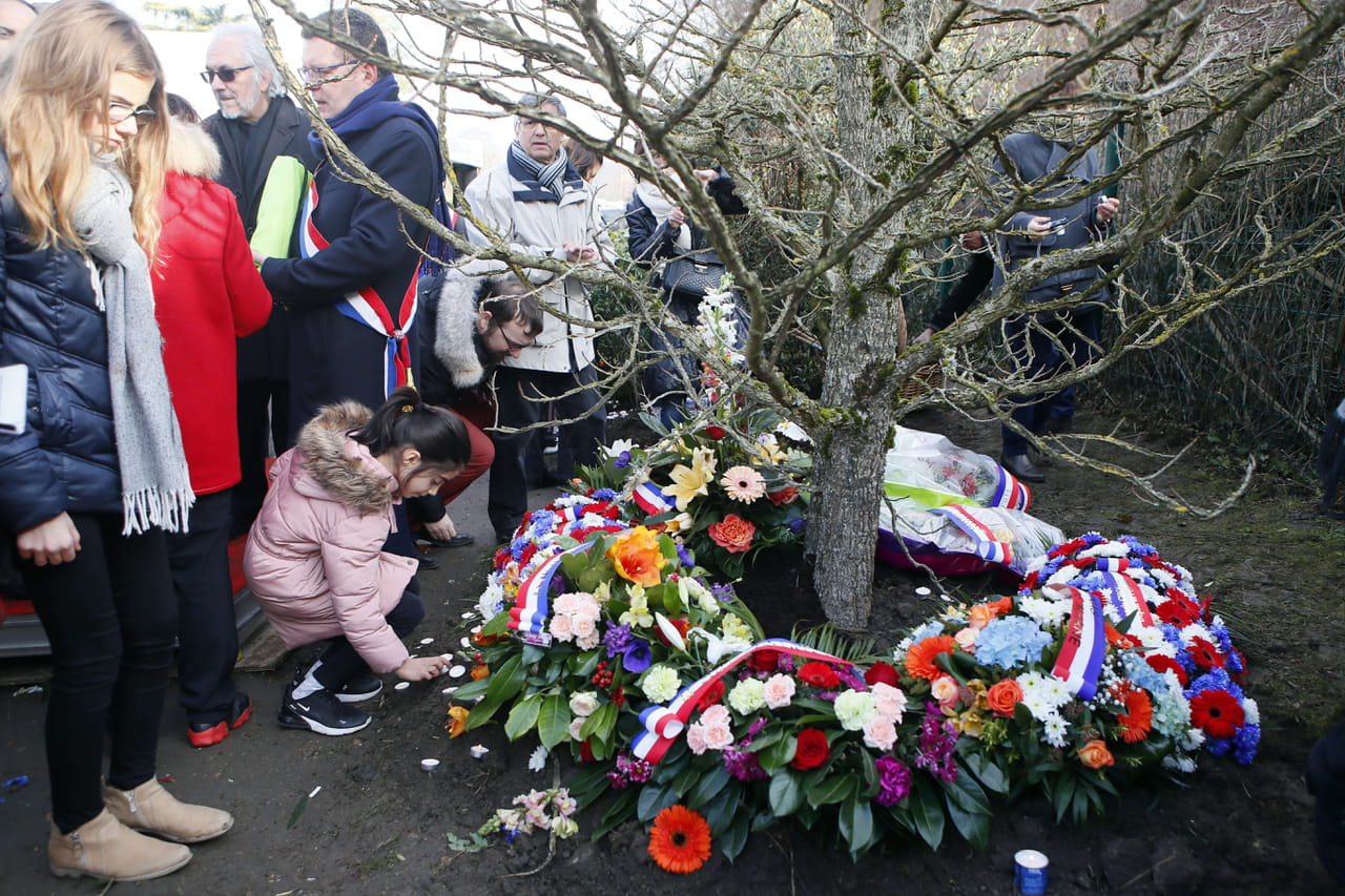 Seine-Saint-Denis : l'arbre en hommage à Ilan Halimi abattu, une enquête est ouverte, ce que l'on sait
