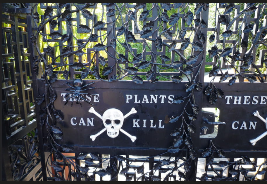 Bonus&nbsp;: le Poison Garden &agrave; Alnwick