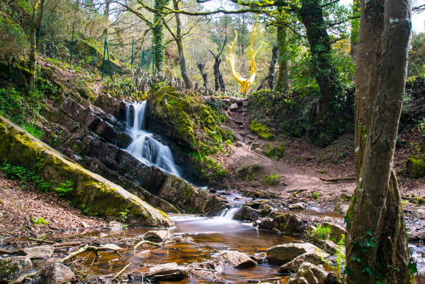 La forêt de Brocéliande, une escapade pleine de magie en amoureux