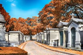 Toussaint 2025 : que célèbre-t-on ce jour férié et quelle différence avec la Fête des morts ?