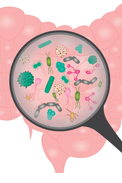 Le Sibo, l'obsession de certains naturopathes&hellip;