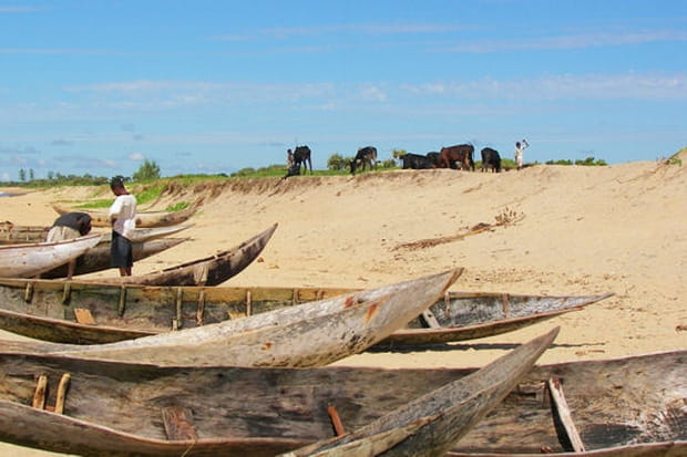 Pirogues sur la plage