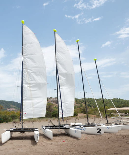 Des sorties en catamaran