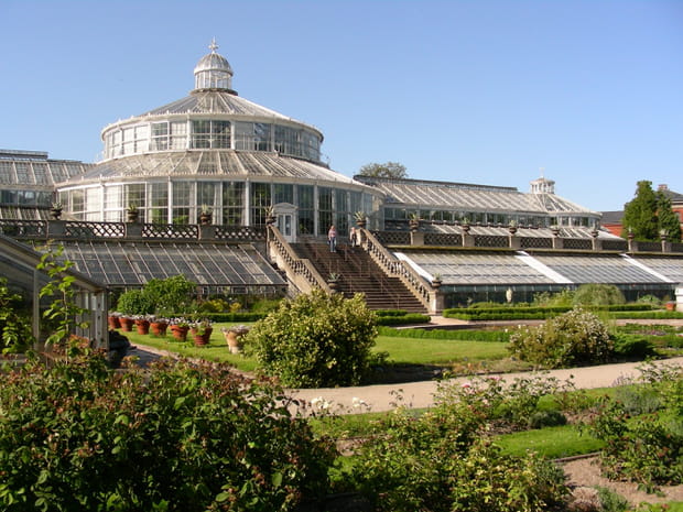 20 expériences à ne pas rater dans la ville du "hygge", Copenhague : Se mettre au vert dans le Jardin Botanique