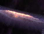 Le cosmos dans tous ses états