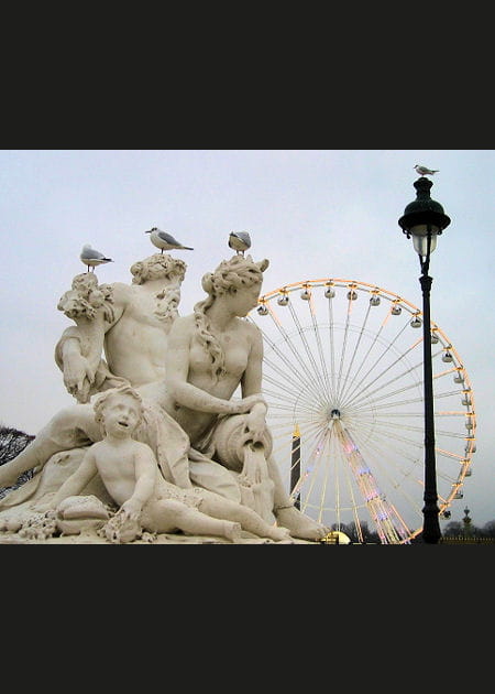 Nus aux oiseaux