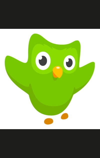 Duolingo, pour pratiquer la langue de votre destination