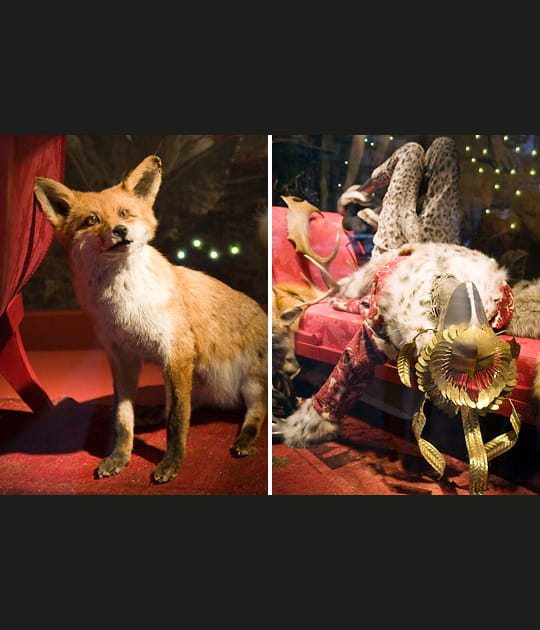 Tableau de chasse au Printemps