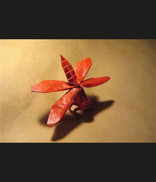Papier cir&eacute;